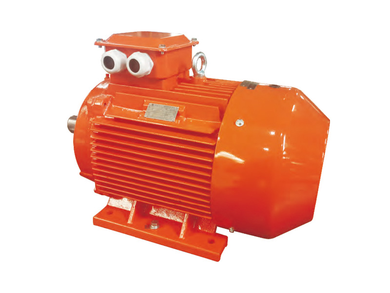 YE5 系列超高效率三相異步電動(dòng)機(jī)